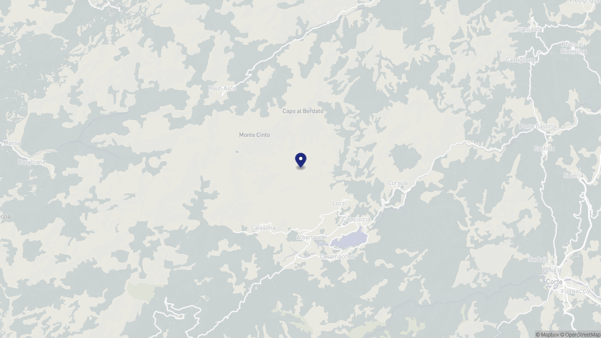 Aperçu cartographique de Lozzi, centré sur la commune