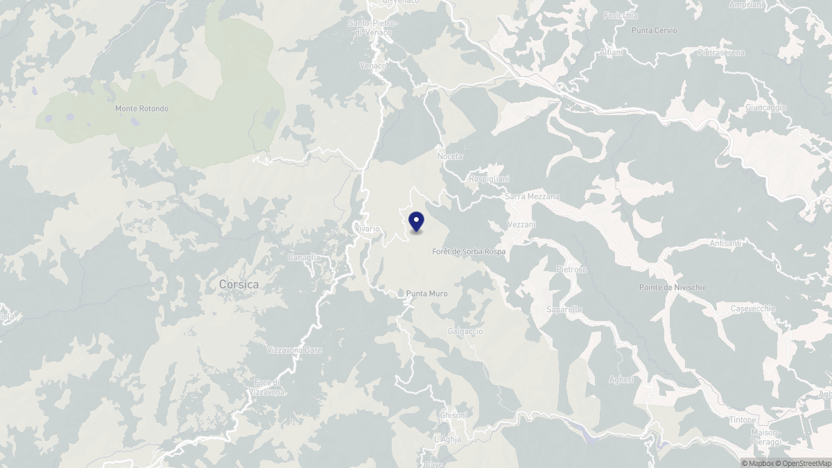 Aperçu cartographique de Muracciole, centré sur la commune