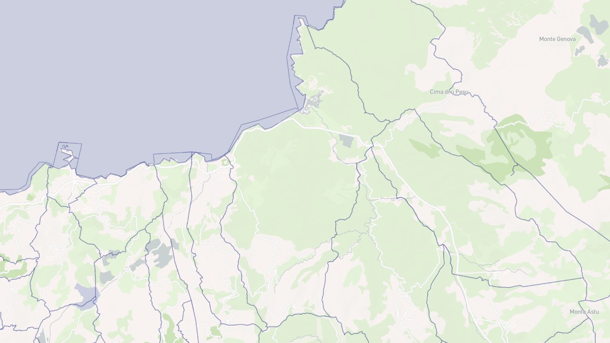 Aperçu cartographique de Palasca, centré sur la commune