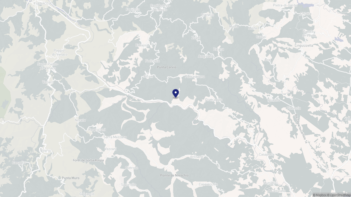 Aperçu cartographique de Piedicorte-di-Gaggio, centré sur la commune