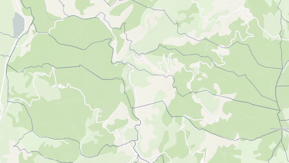 Aperçu cartographique de Saliceto, centré sur la commune