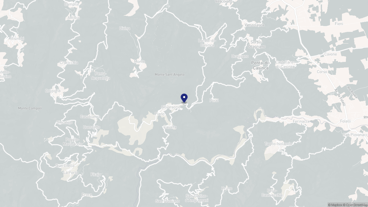 Aperçu cartographique de Silvareccio, centré sur la commune