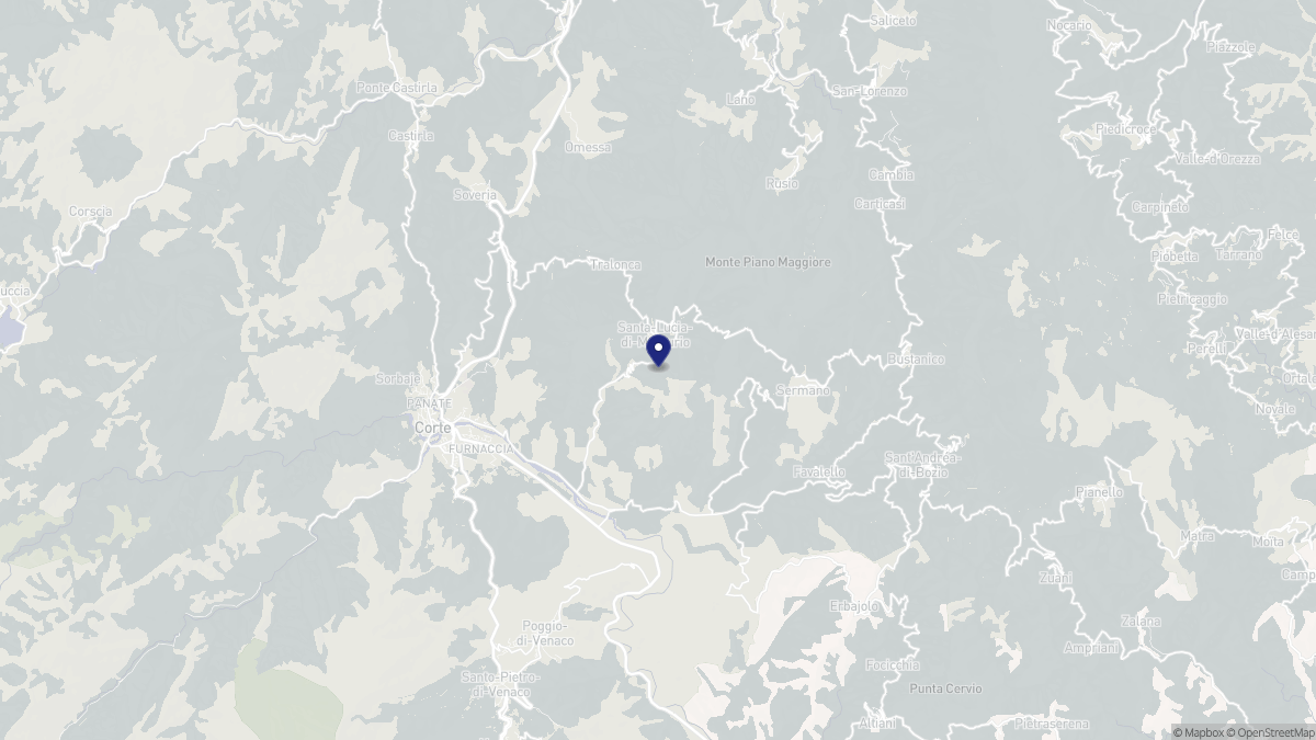 Aperçu cartographique de Santa-Lucia-di-Mercurio, centré sur la commune