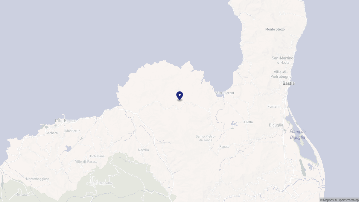 Aperçu cartographique de Santo-Pietro-di-Tenda, centré sur la commune