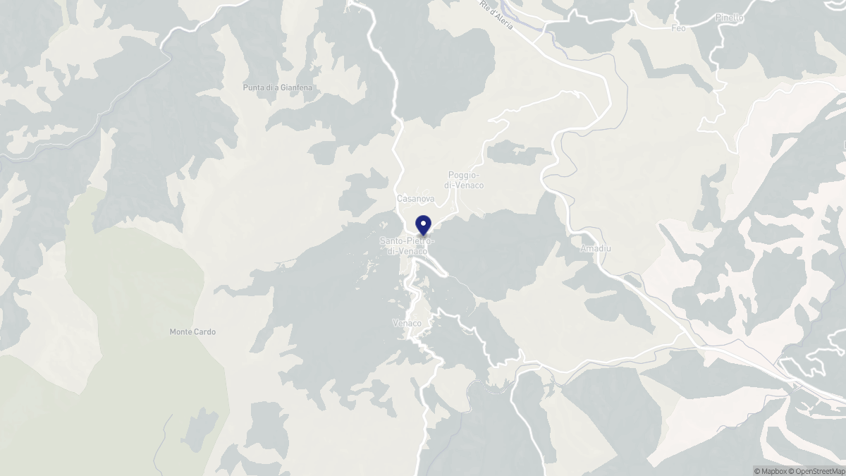 Aperçu cartographique de Santo-Pietro-di-Venaco, centré sur la commune