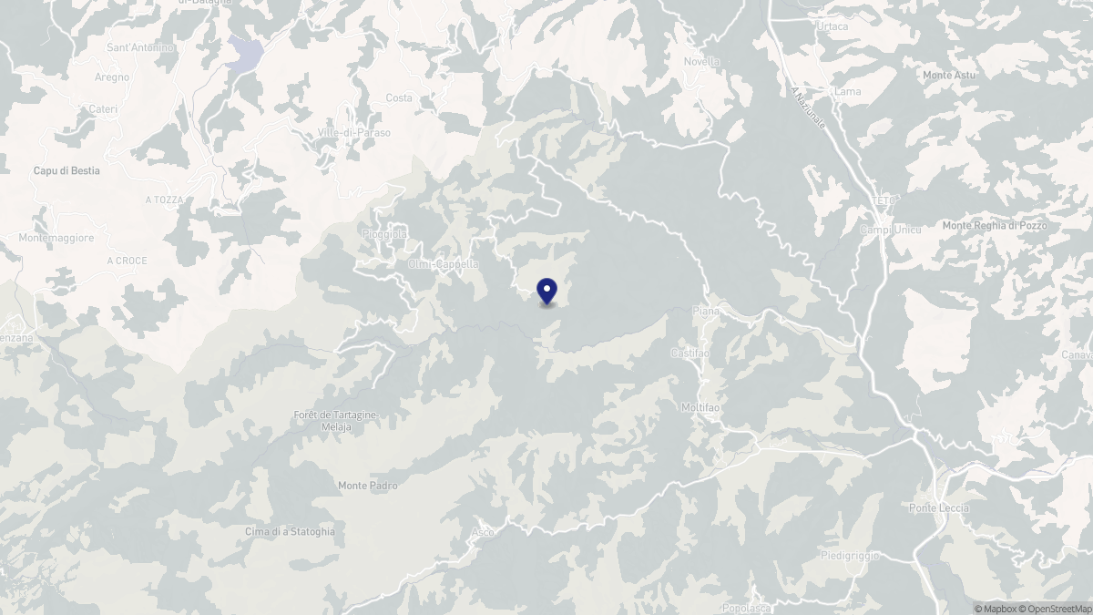 Aperçu cartographique de Vallica, centré sur la commune