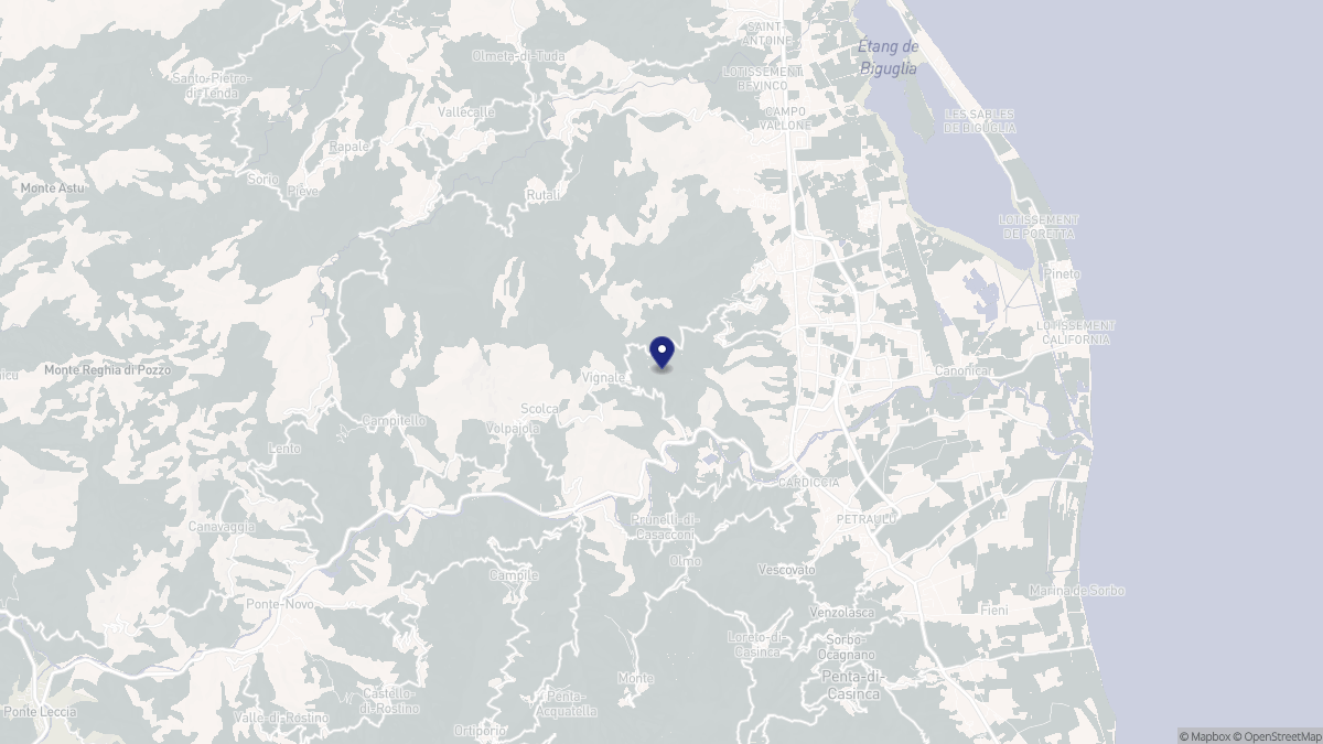 Aperçu cartographique de Vignale, centré sur la commune