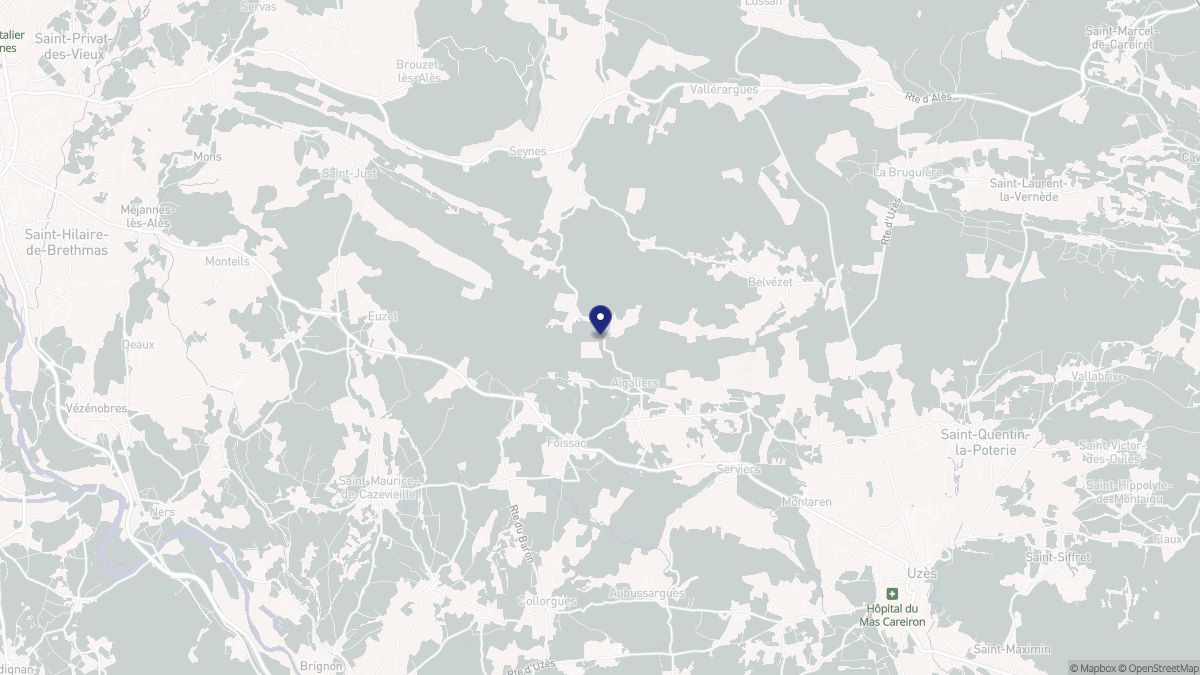 Aperçu cartographique de Aigaliers, centré sur la commune