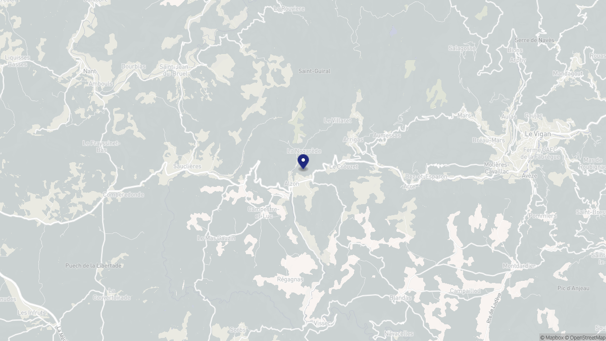 Aperçu cartographique de Alzon, centré sur la commune