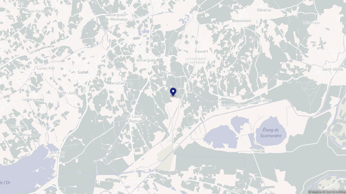 Aperçu cartographique de Le Cailar, centré sur la commune