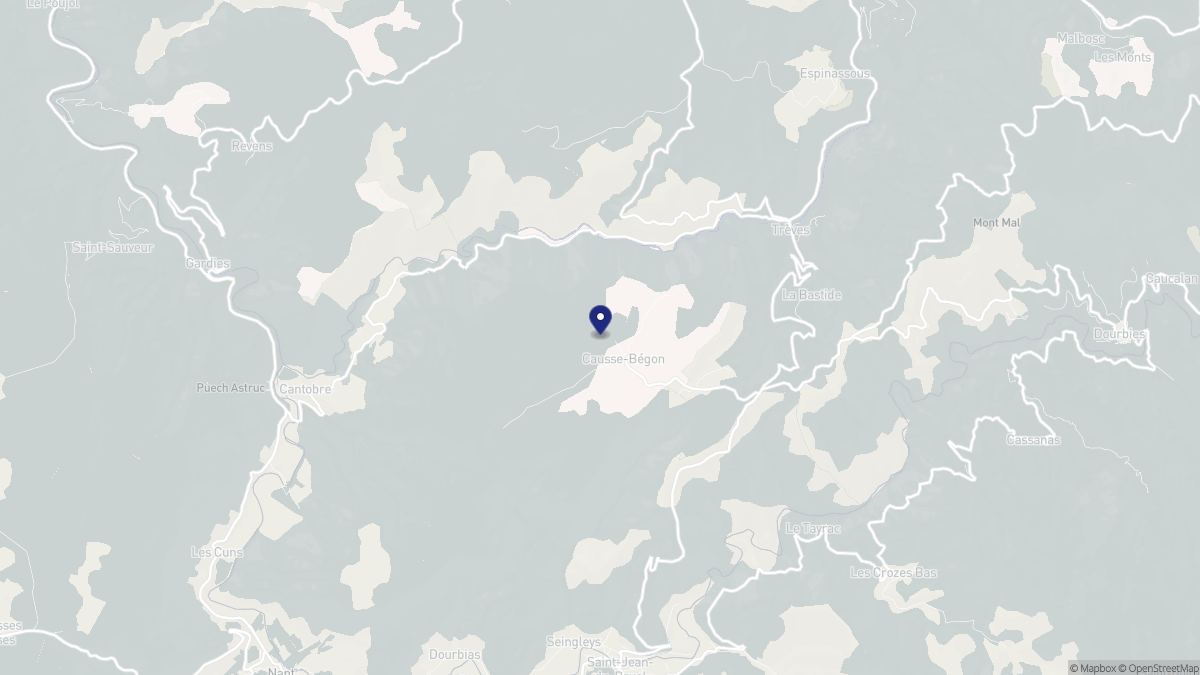 Aperçu cartographique de Causse-Bégon, centré sur la commune