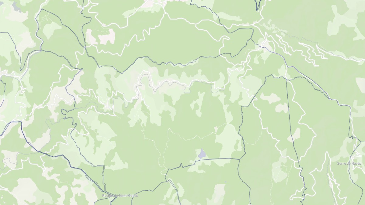 Aperçu cartographique de Dourbies, centré sur la commune