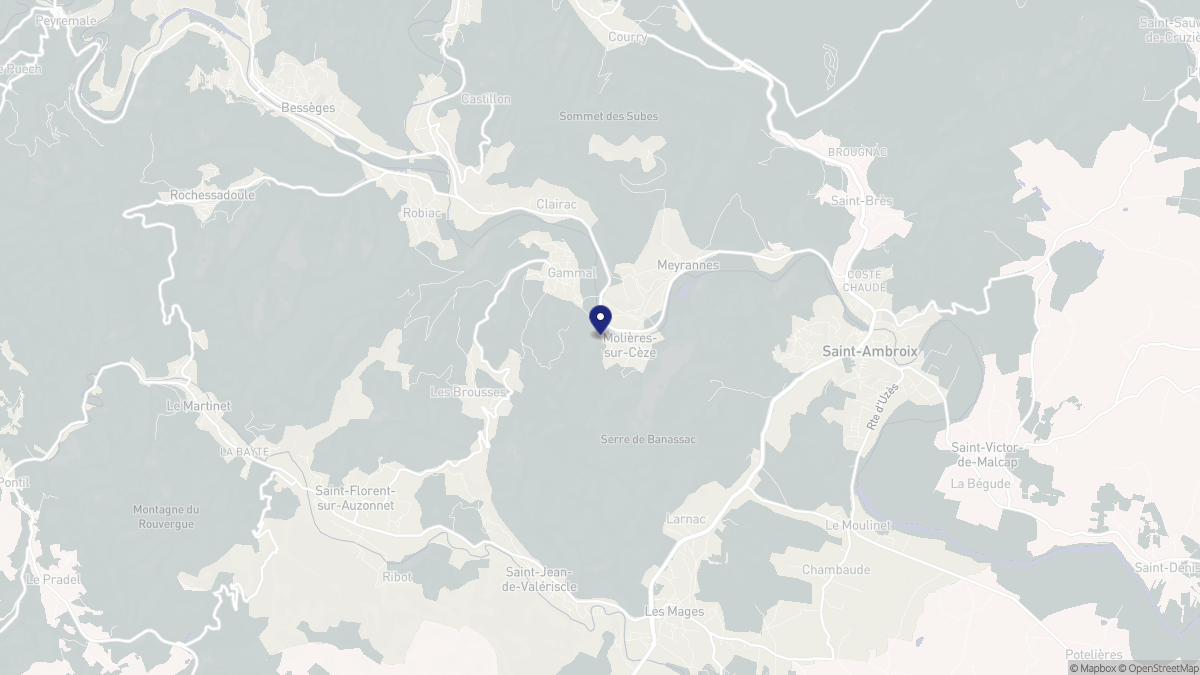Aperçu cartographique de Molières-sur-Cèze, centré sur la commune