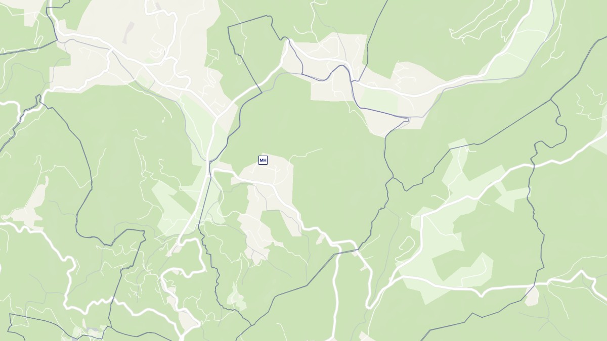 Aperçu cartographique de Saint-Bonnet-de-Salendrinque, centré sur la commune