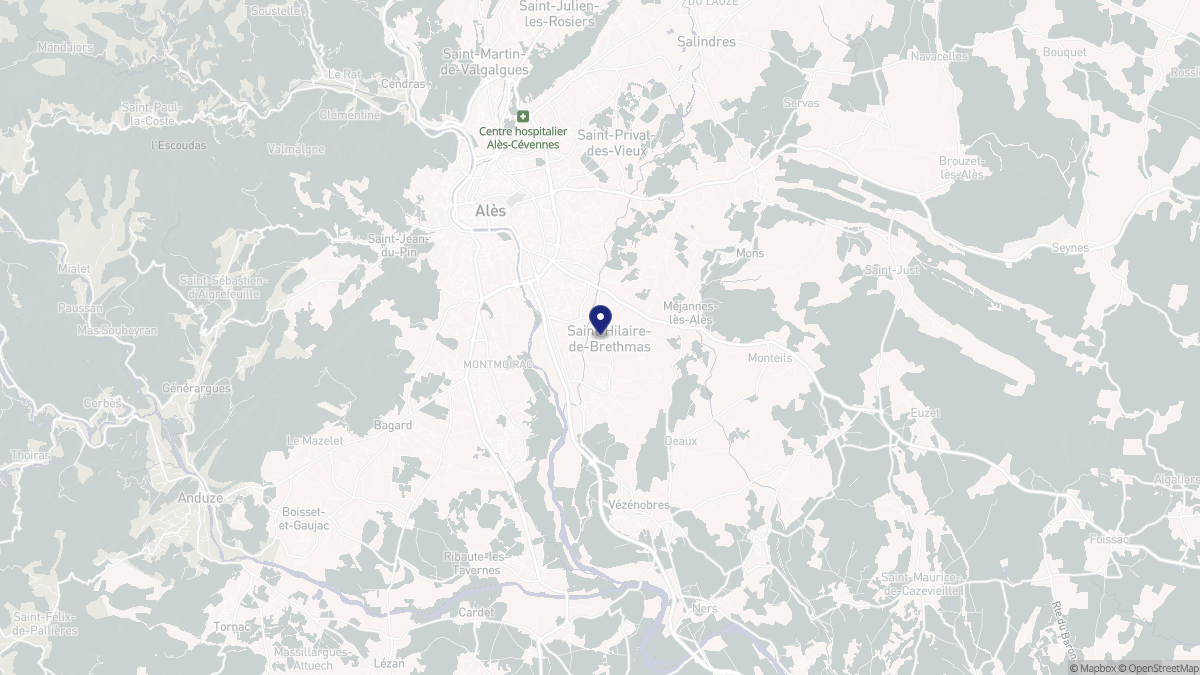 Aperçu cartographique de Saint-Hilaire-de-Brethmas, centré sur la commune