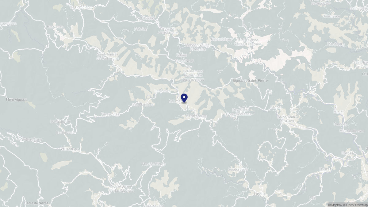 Aperçu cartographique de Saumane, centré sur la commune