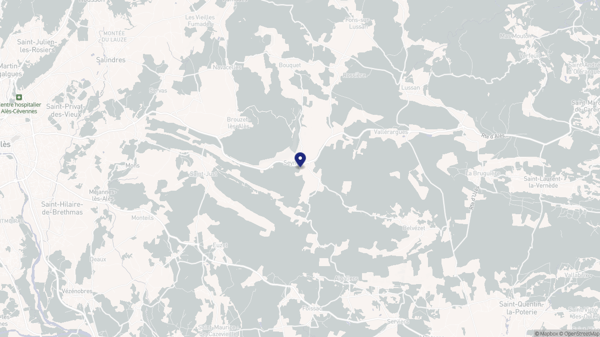 Aperçu cartographique de Seynes, centré sur la commune