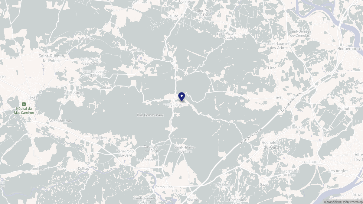 Aperçu cartographique de Valliguières, centré sur la commune