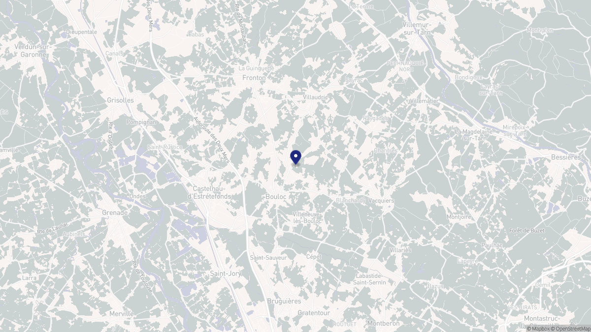 Aperçu cartographique de Bouloc, centré sur la commune