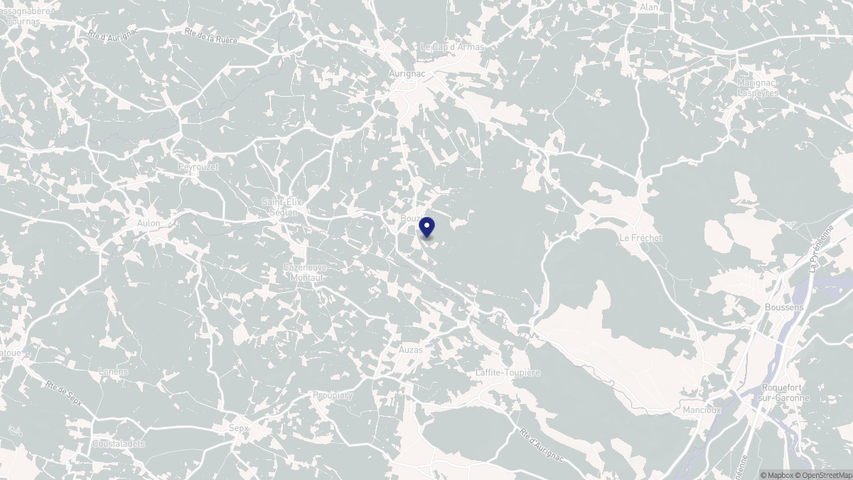 Aperçu cartographique de Bouzin, centré sur la commune