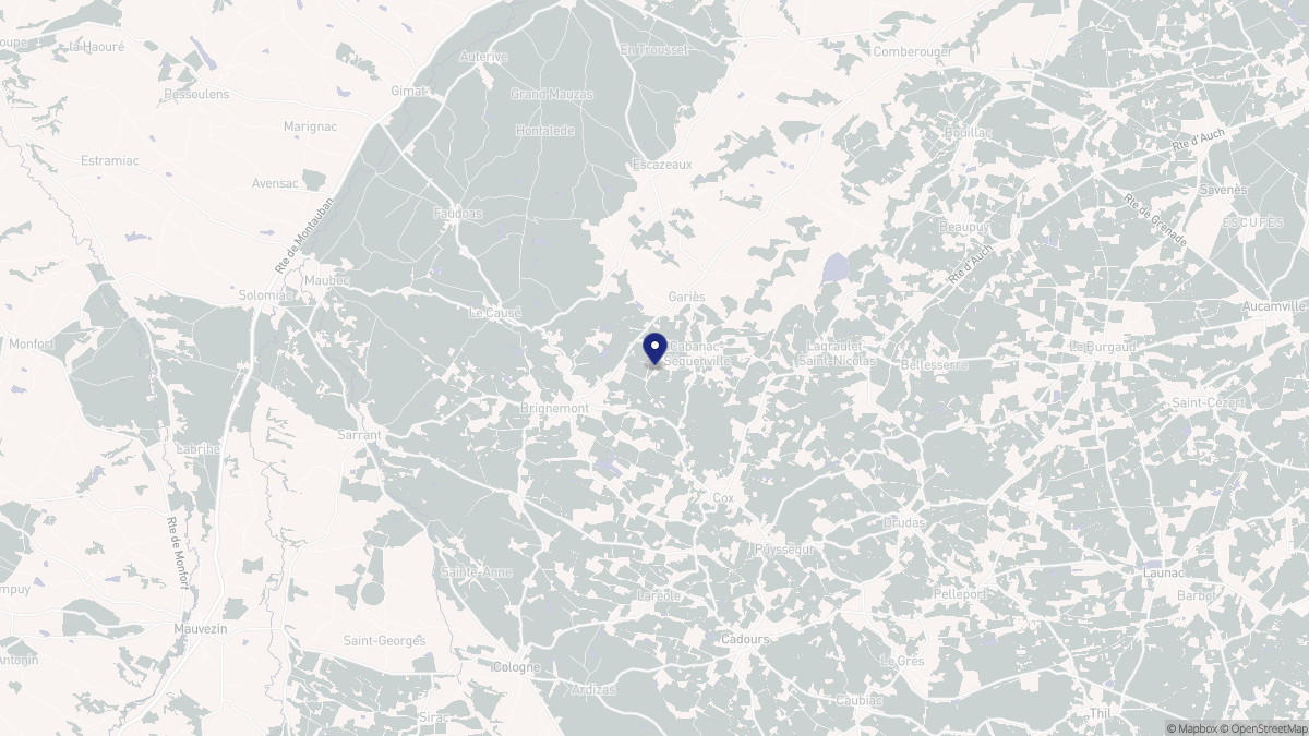 Aperçu cartographique de Cabanac-Séguenville, centré sur la commune
