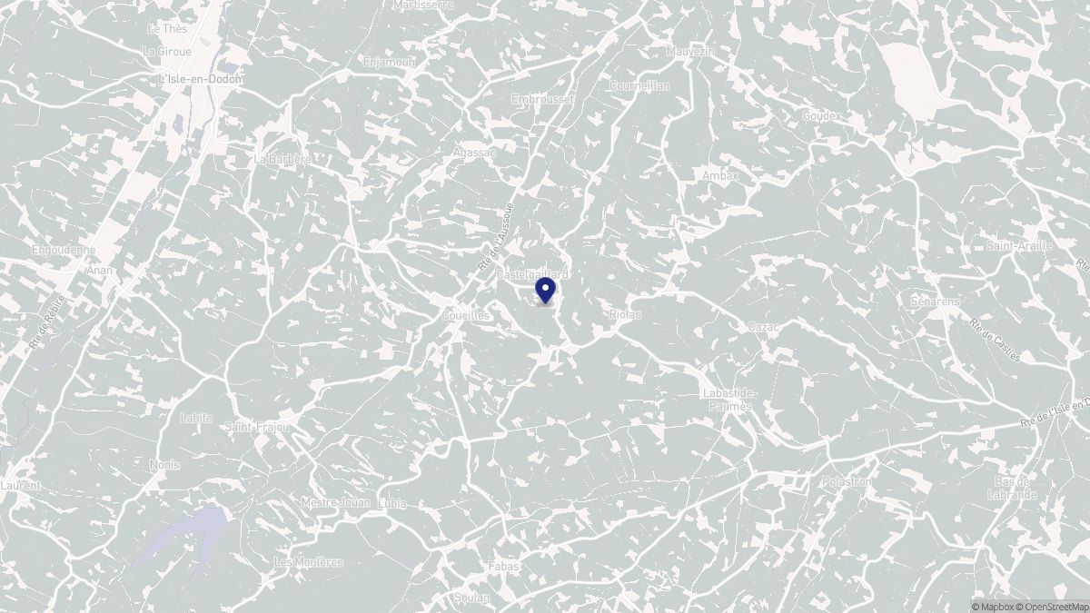 Aperçu cartographique de Castelgaillard, centré sur la commune