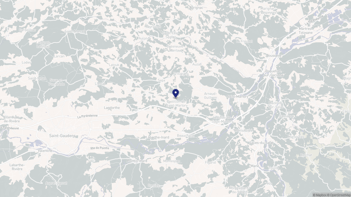 Aperçu cartographique de Castillon-de-Saint-Martory, centré sur la commune