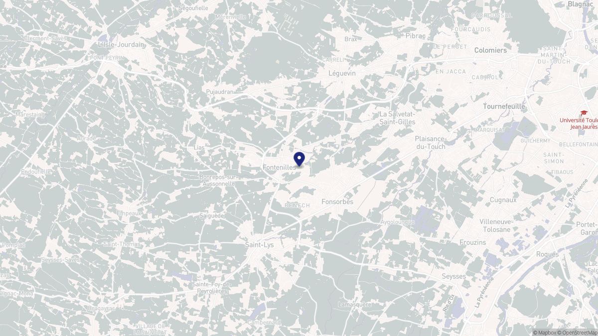 Aperçu cartographique de Fontenilles, centré sur la commune