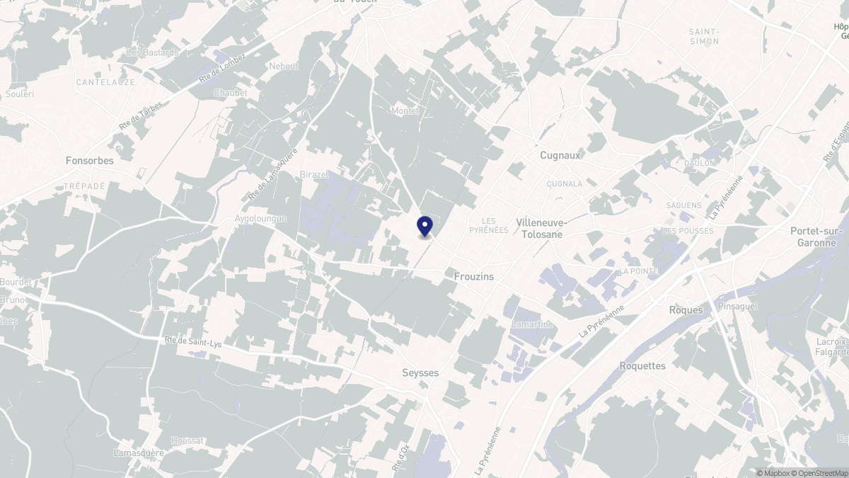 Aperçu cartographique de Frouzins, centré sur la commune