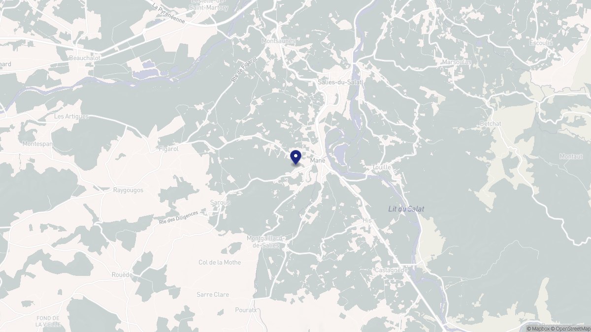 Aperçu cartographique de Mane, centré sur la commune