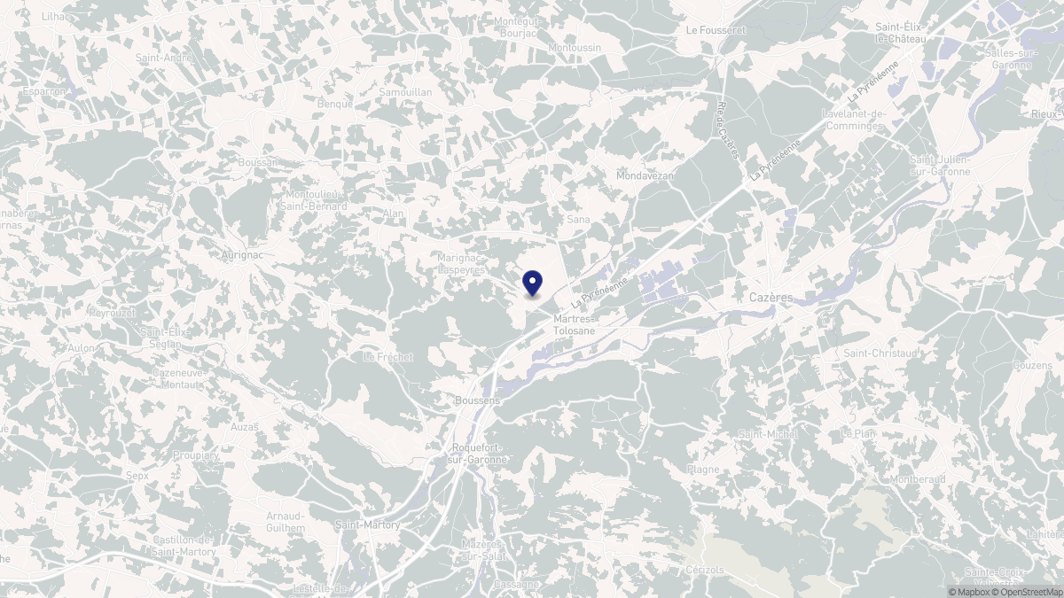 Aperçu cartographique de Martres-Tolosane, centré sur la commune