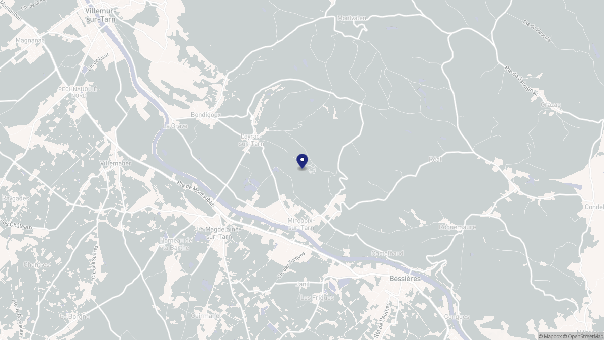Aperçu cartographique de Mirepoix-sur-Tarn, centré sur la commune