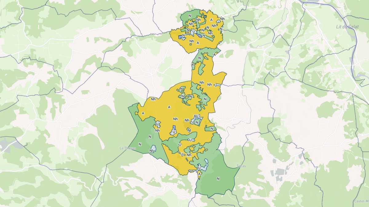Aperçu cartographique de Montastruc-de-Salies, centré sur la commune