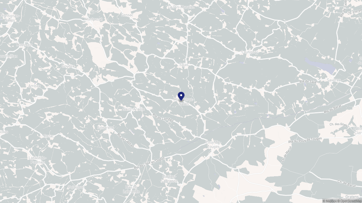 Aperçu cartographique de Montastruc-Savès, centré sur la commune