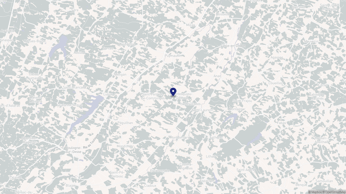 Aperçu cartographique de Montesquieu-Guittaut, centré sur la commune