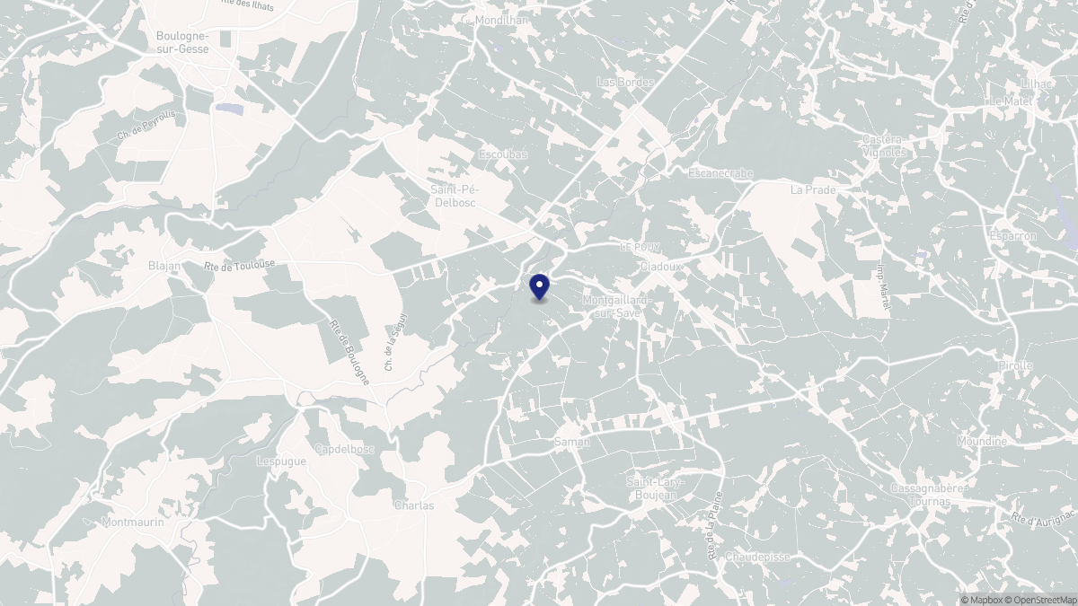 Aperçu cartographique de Montgaillard-sur-Save, centré sur la commune