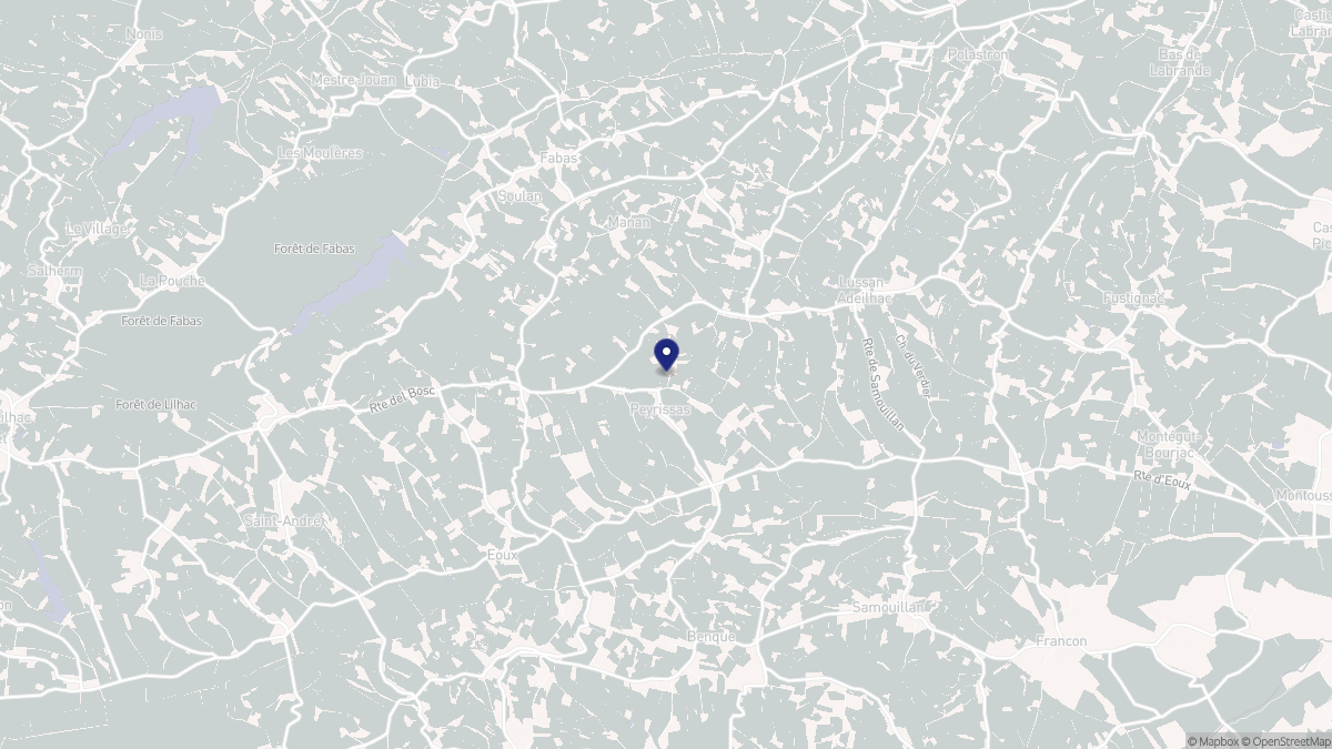 Aperçu cartographique de Peyrissas, centré sur la commune