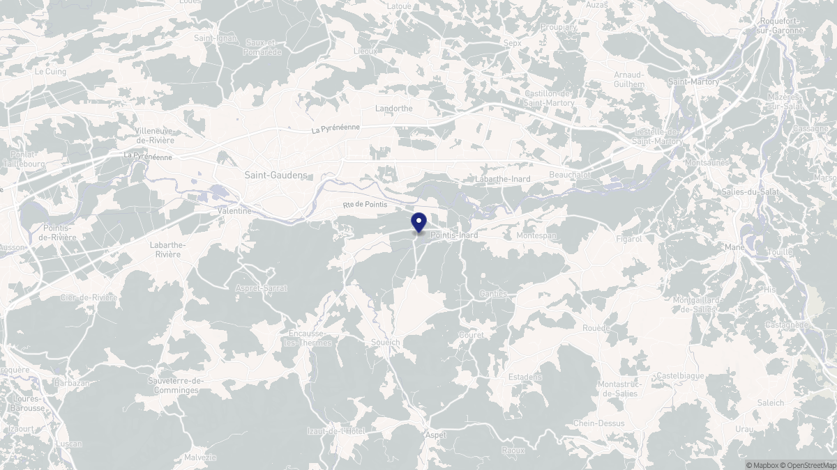Aperçu cartographique de Pointis-Inard, centré sur la commune