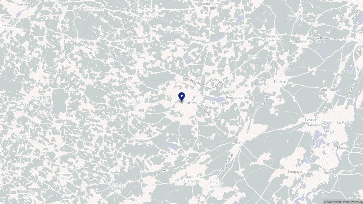 Aperçu cartographique de Rieumes, centré sur la commune