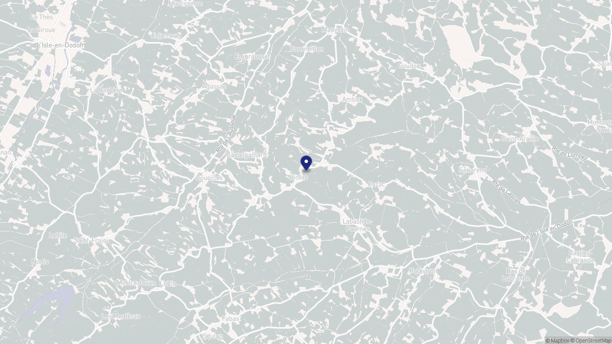 Aperçu cartographique de Riolas, centré sur la commune