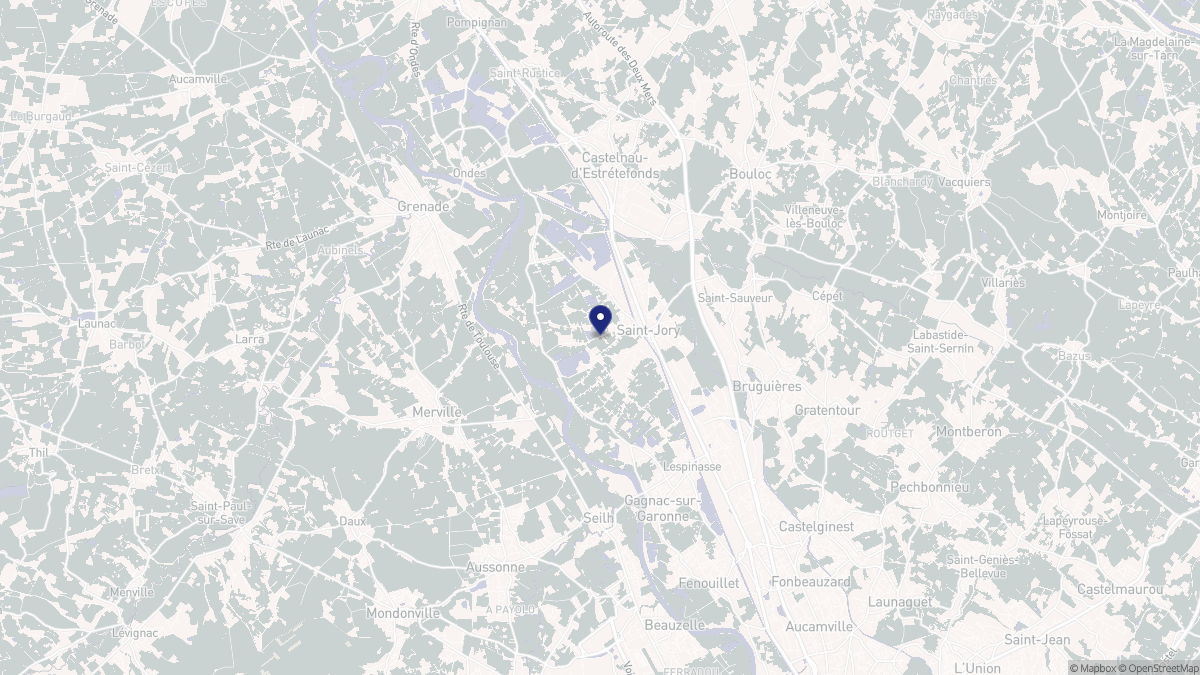 Aperçu cartographique de Saint-Jory, centré sur la commune