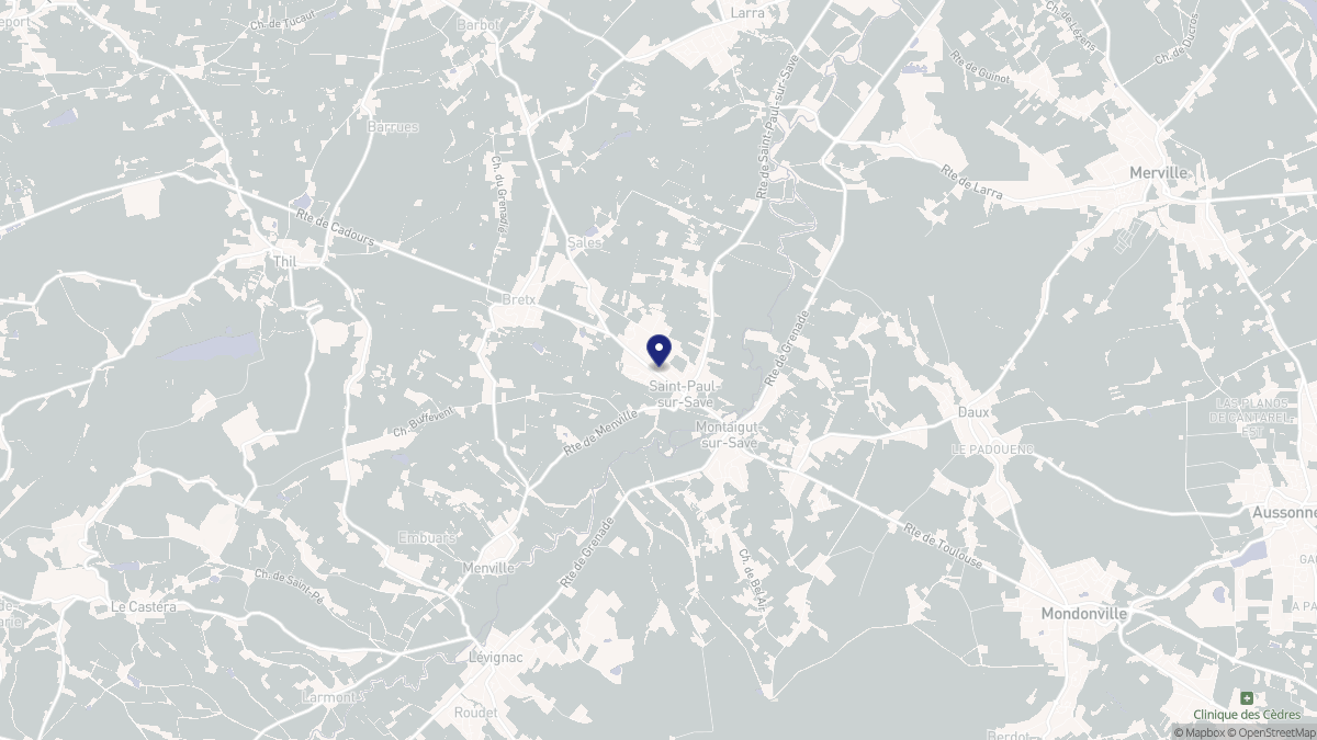 Aperçu cartographique de Saint-Paul-sur-Save, centré sur la commune