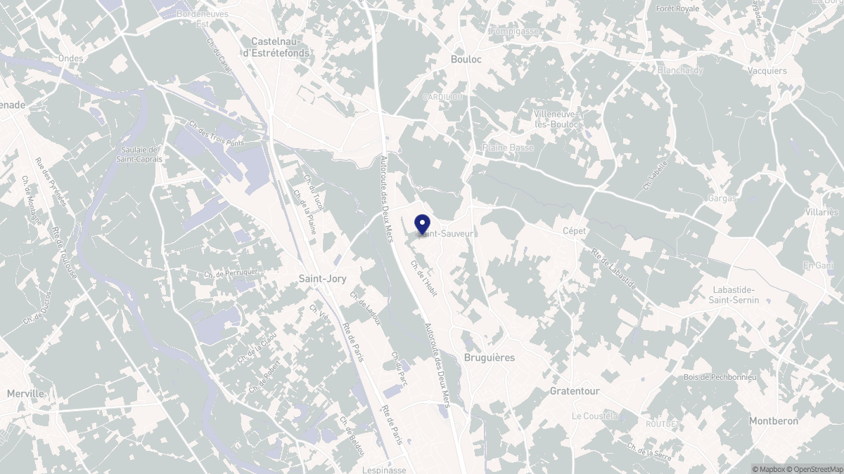 Aperçu cartographique de Saint-Sauveur, centré sur la commune