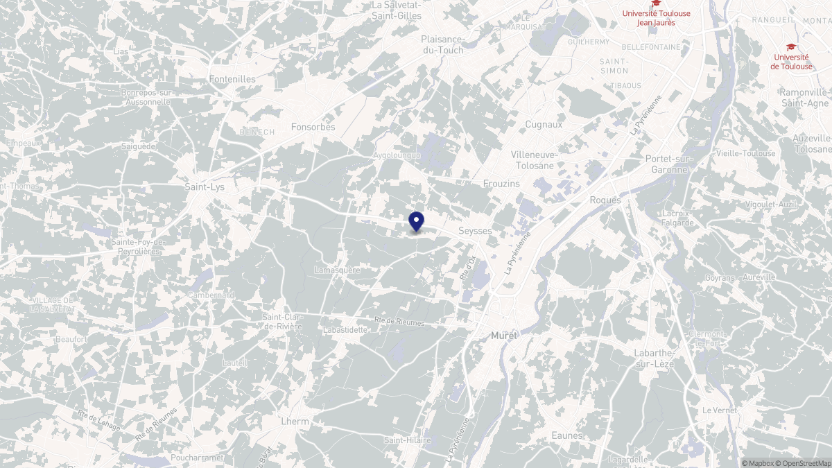Aperçu cartographique de Seysses, centré sur la commune