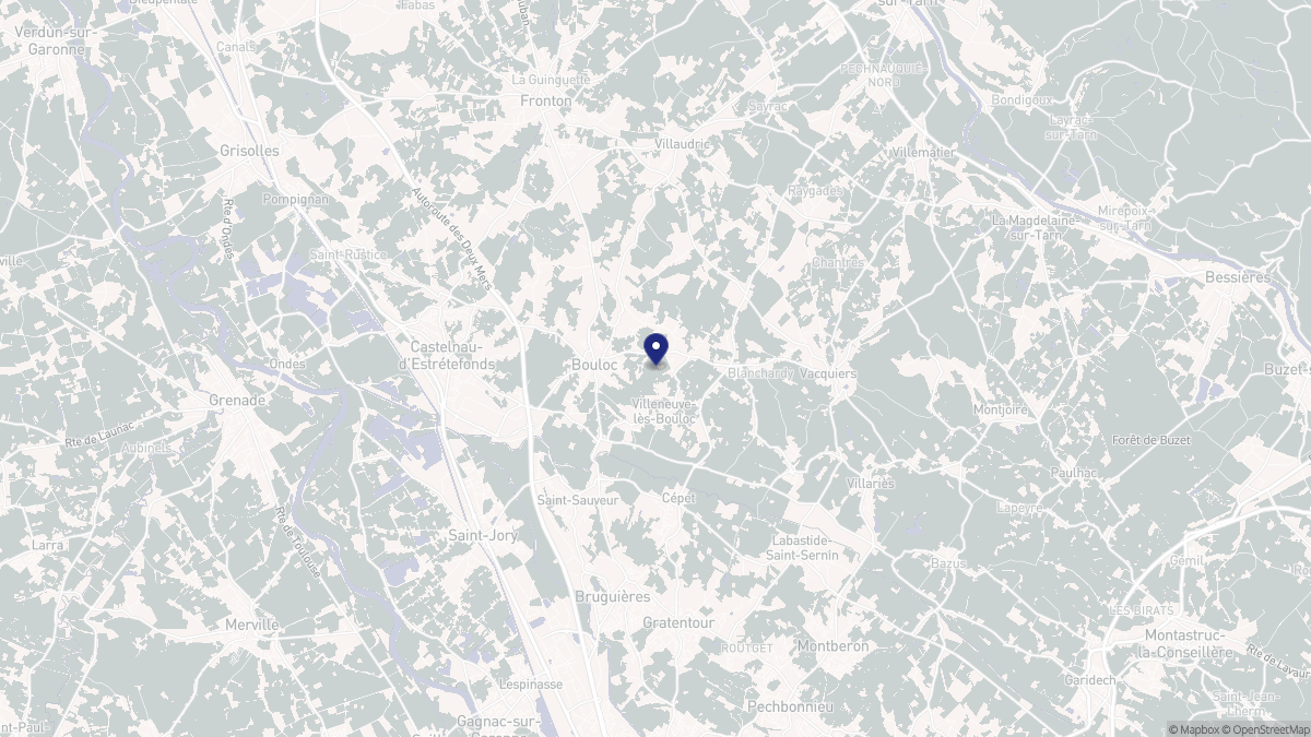 Aperçu cartographique de Villeneuve-lès-Bouloc, centré sur la commune