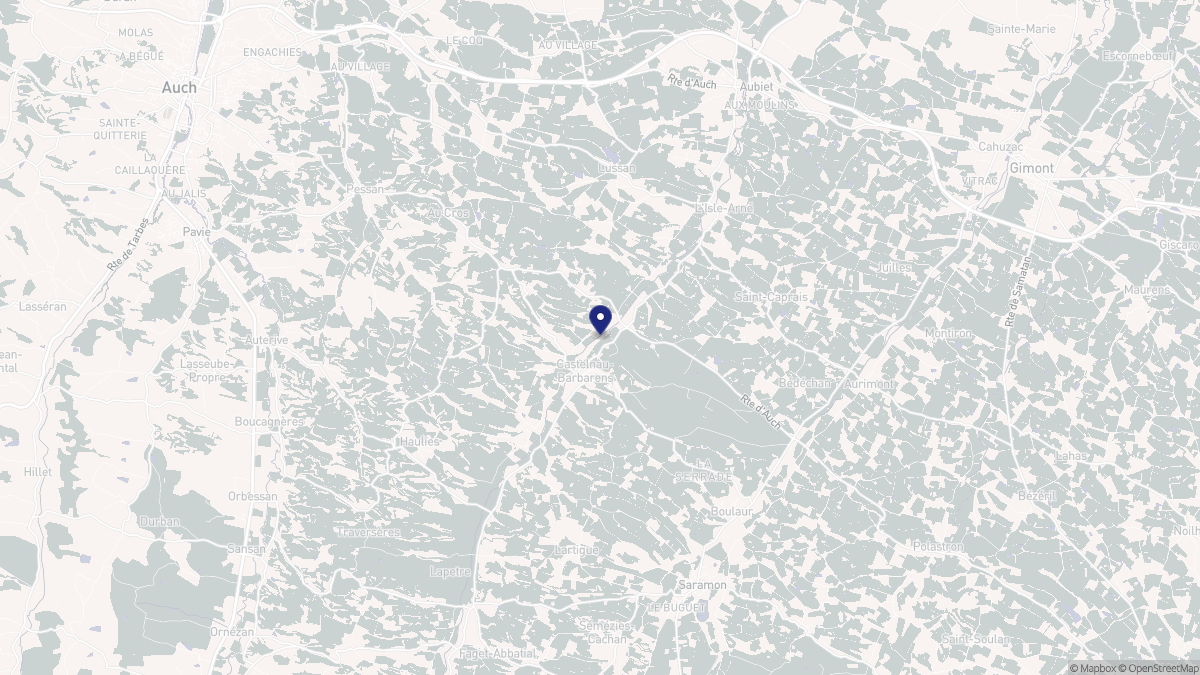 Aperçu cartographique de Castelnau-Barbarens, centré sur la commune