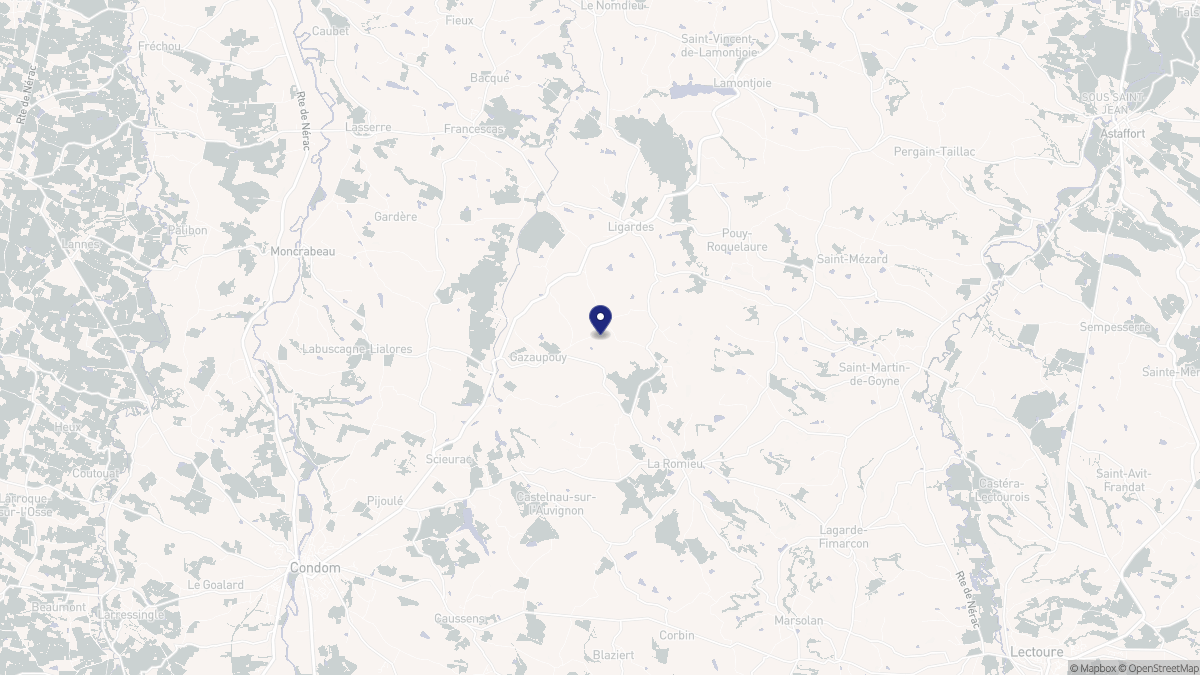 Aperçu cartographique de Gazaupouy, centré sur la commune