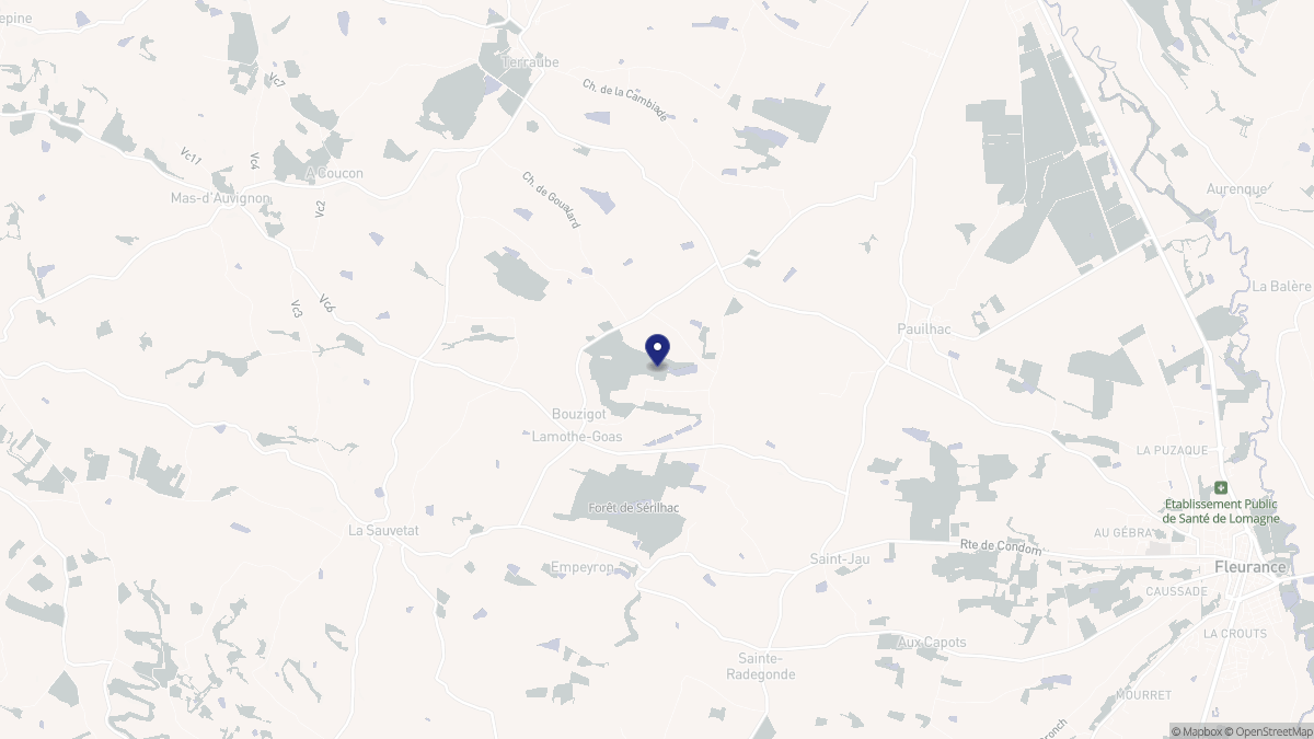 Aperçu cartographique de Lamothe-Goas, centré sur la commune