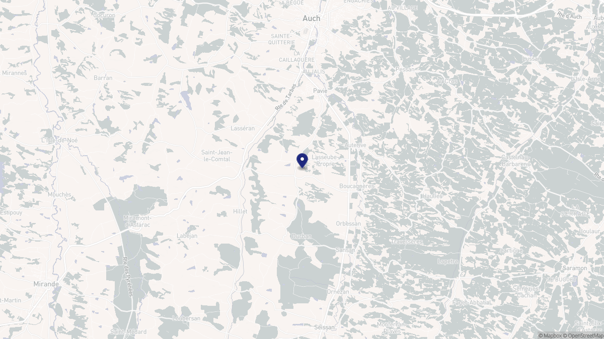 Aperçu cartographique de Lasseube-Propre, centré sur la commune