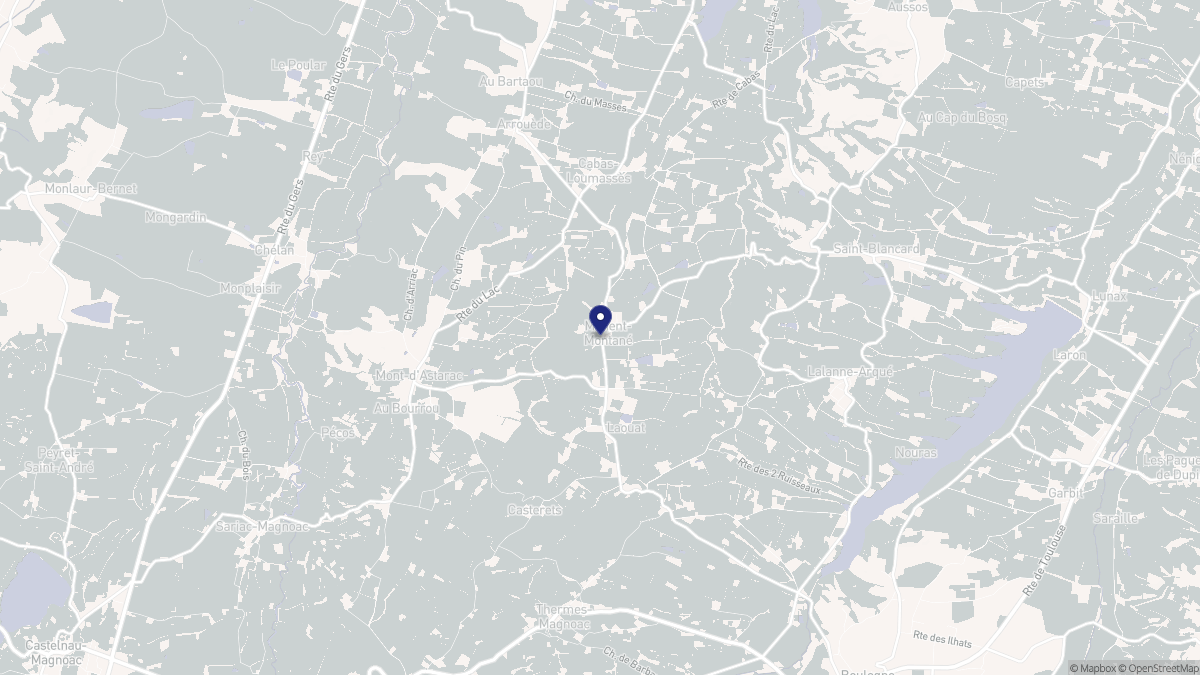 Aperçu cartographique de Manent-Montané, centré sur la commune